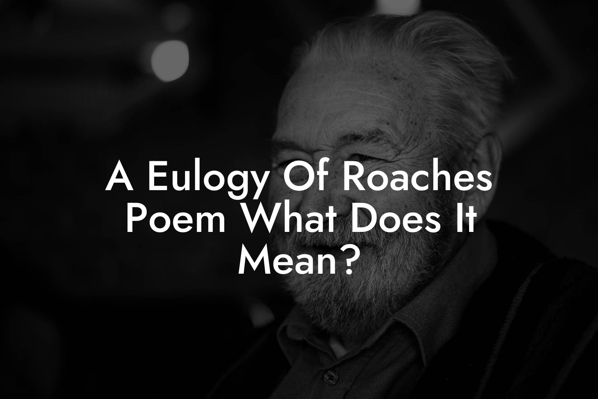 A Eulogy Of Roaches Poem What Does It Mean?