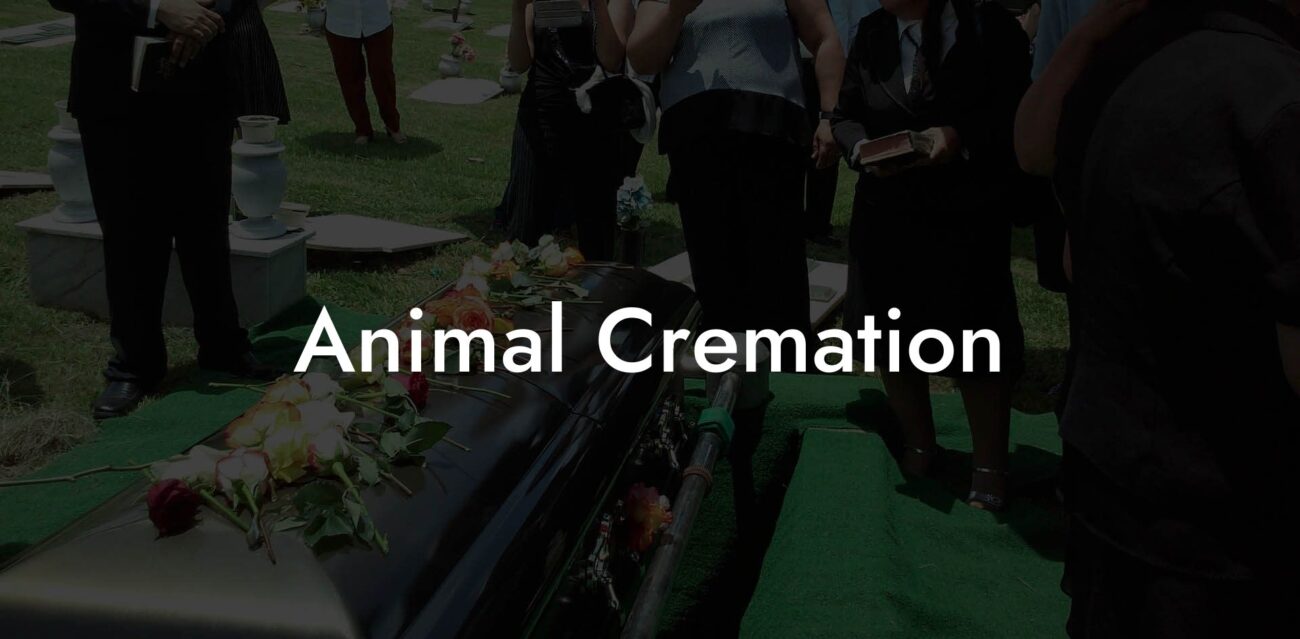 Animal Cremation