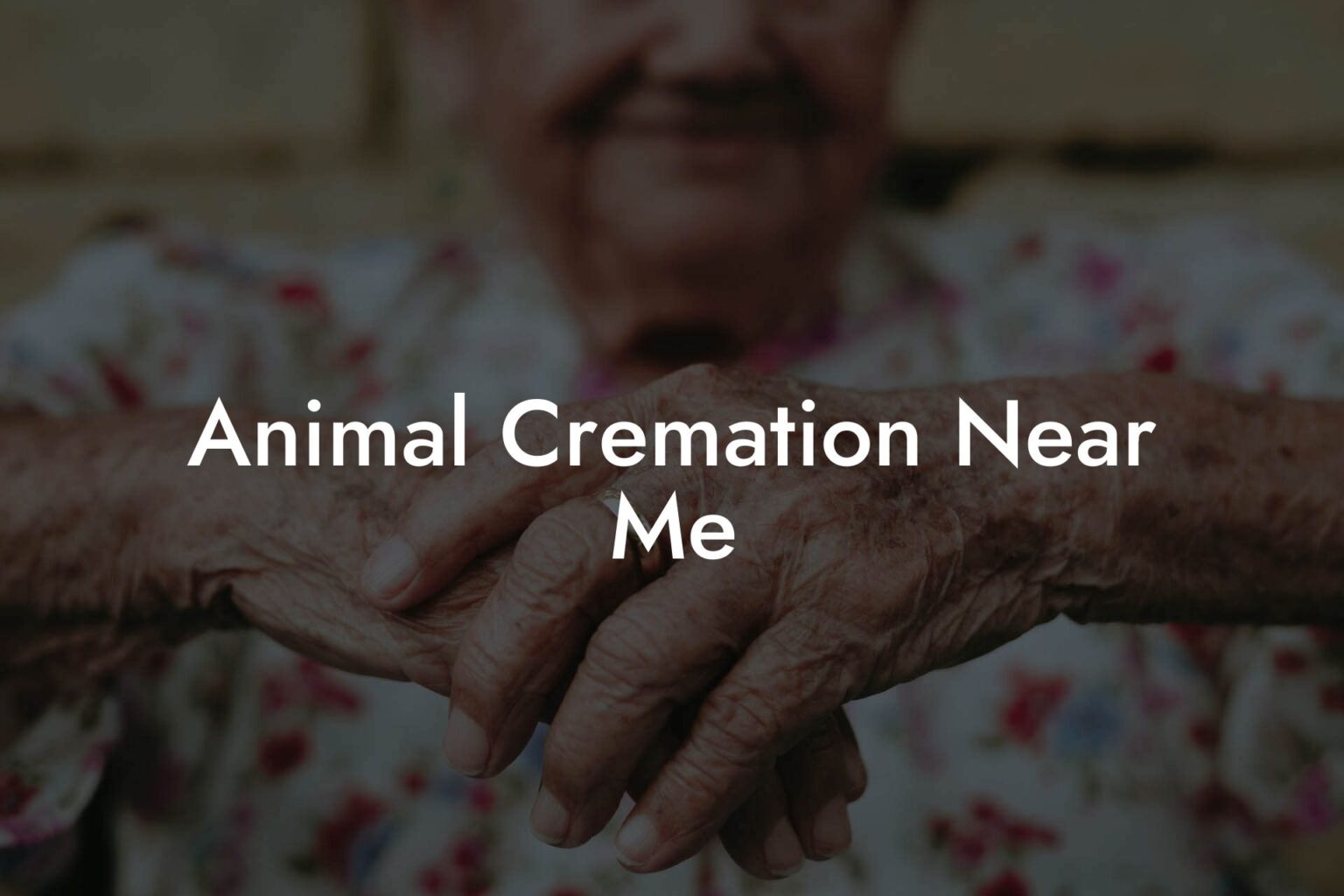 Animal Cremation Near Me Eulogy Assistant