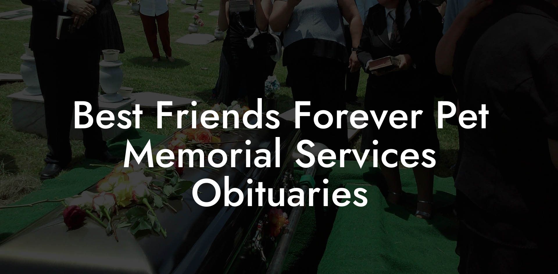 Best Friends Forever Pet Memorial Services Obituaries Eulogy Assistant