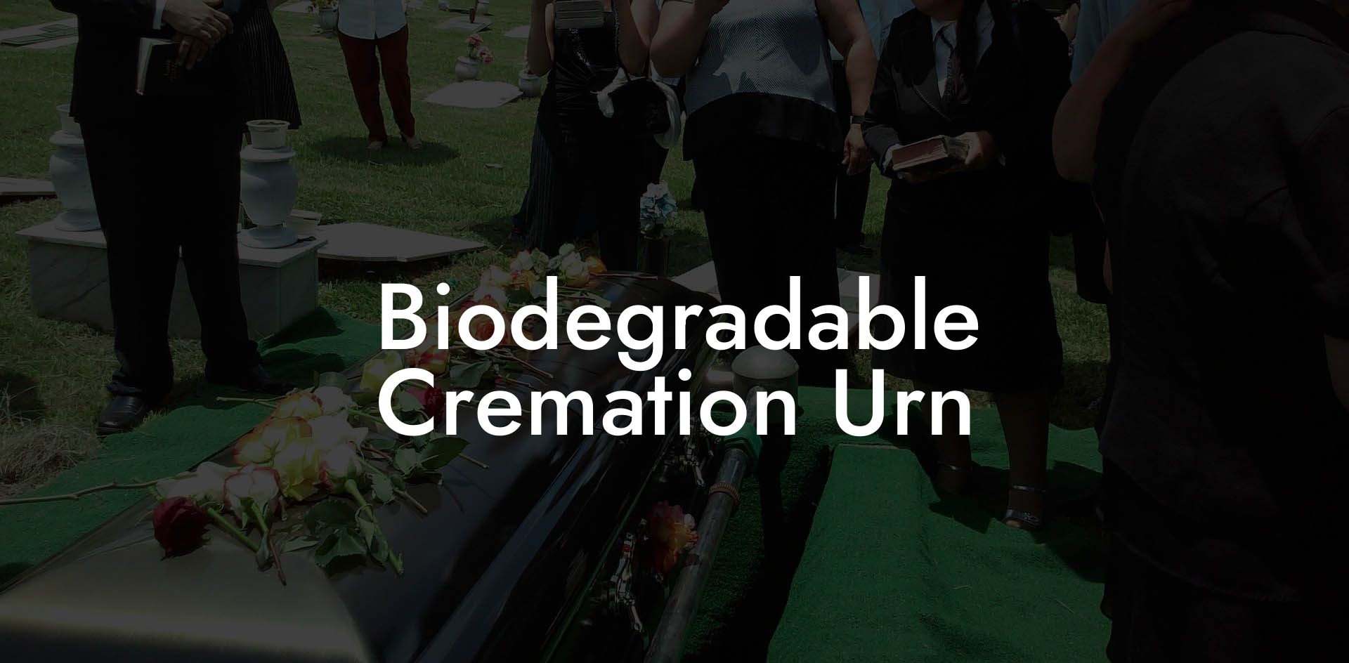 Biodegradable Cremation Urn