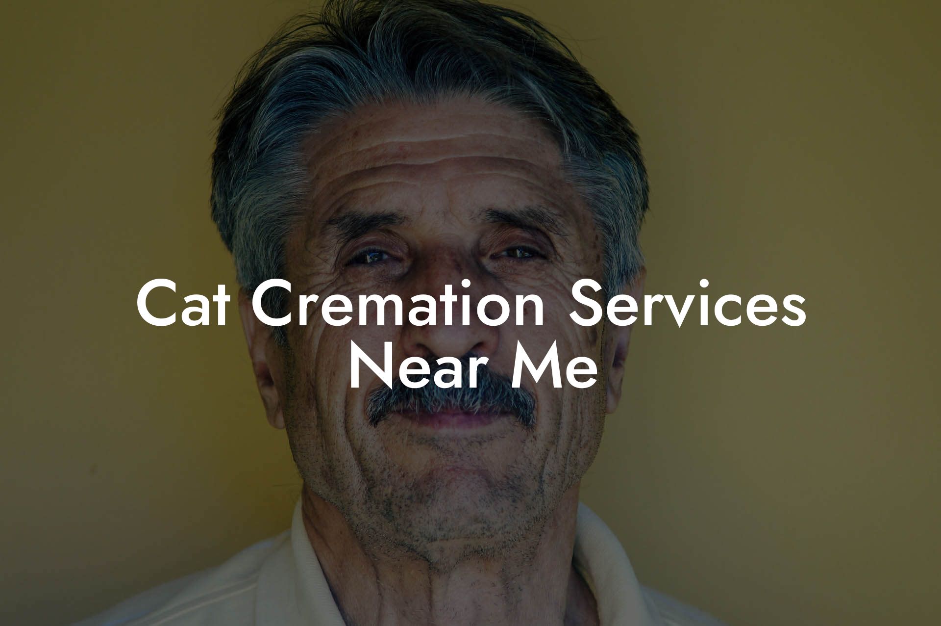 Cat Cremation Services Near Me