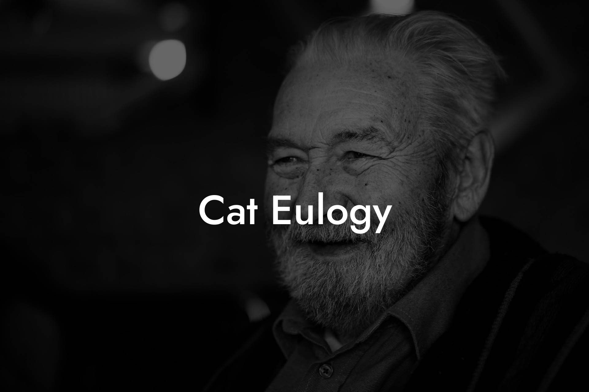Cat Eulogy