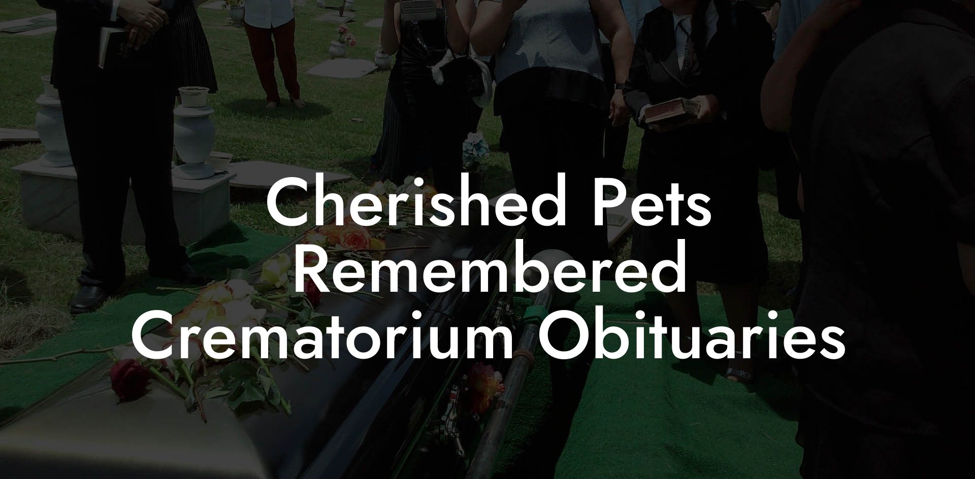 Cherished Pets Remembered Crematorium Obituaries