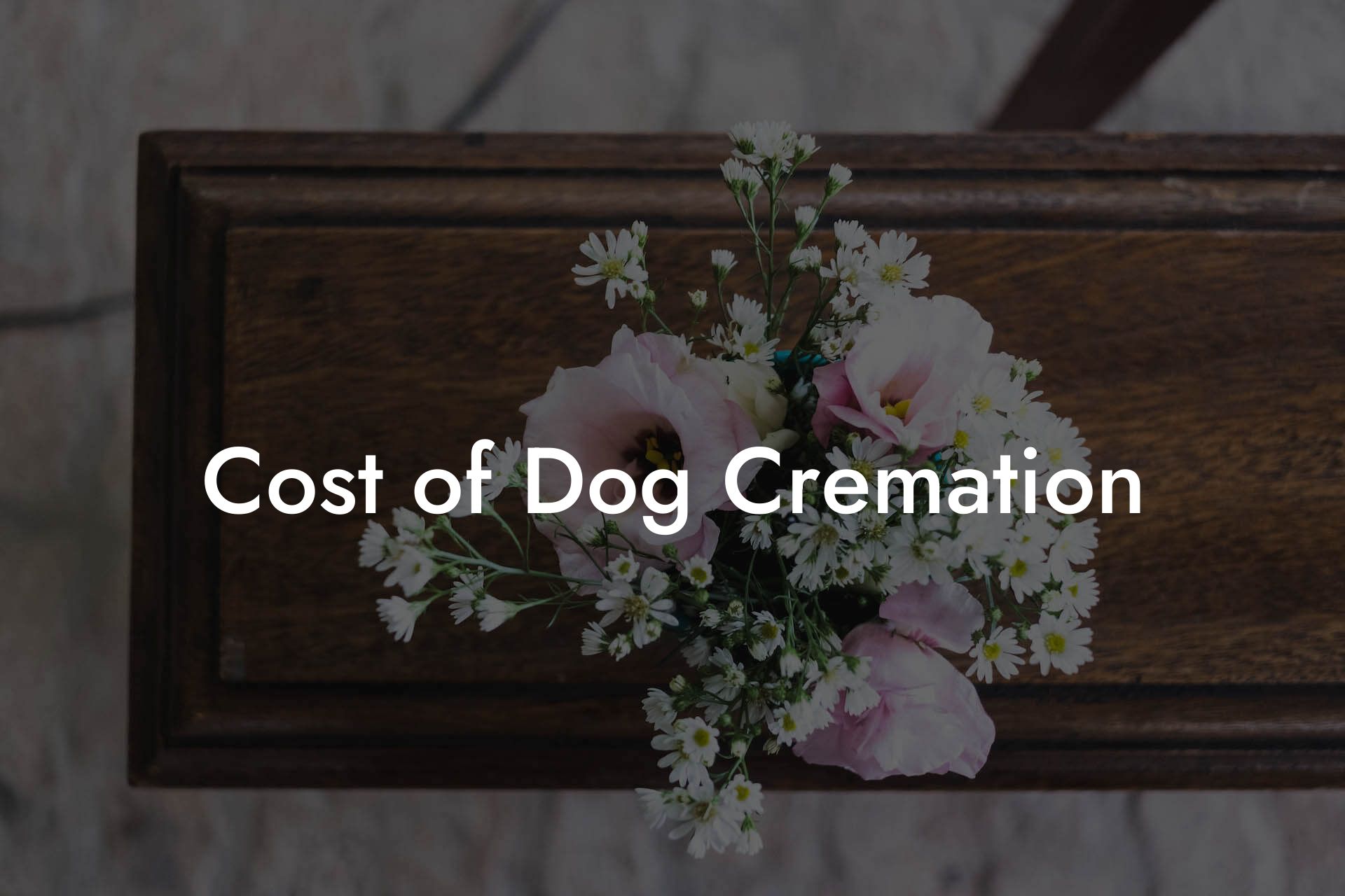 Cost of Dog Cremation