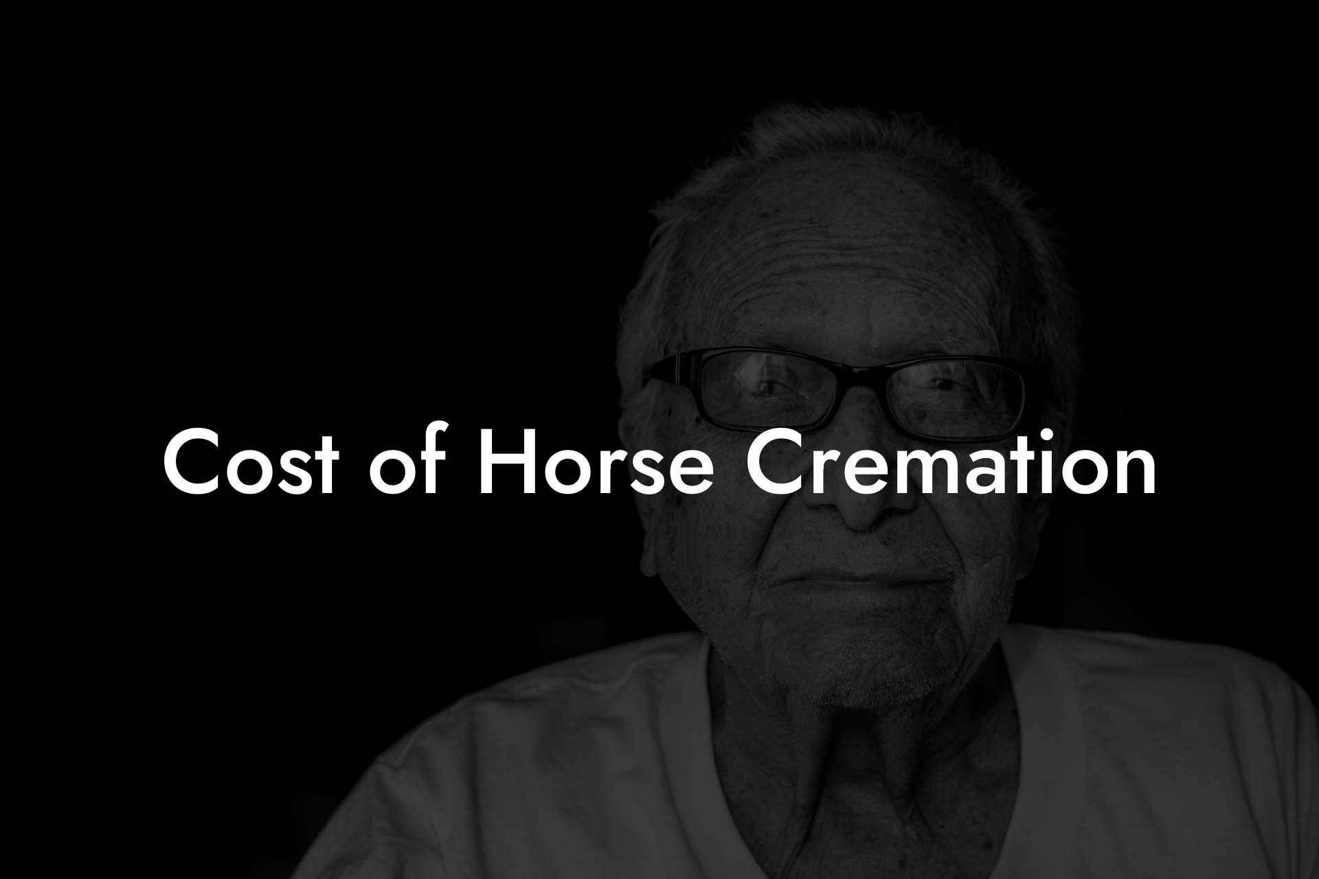 Cost of Horse Cremation