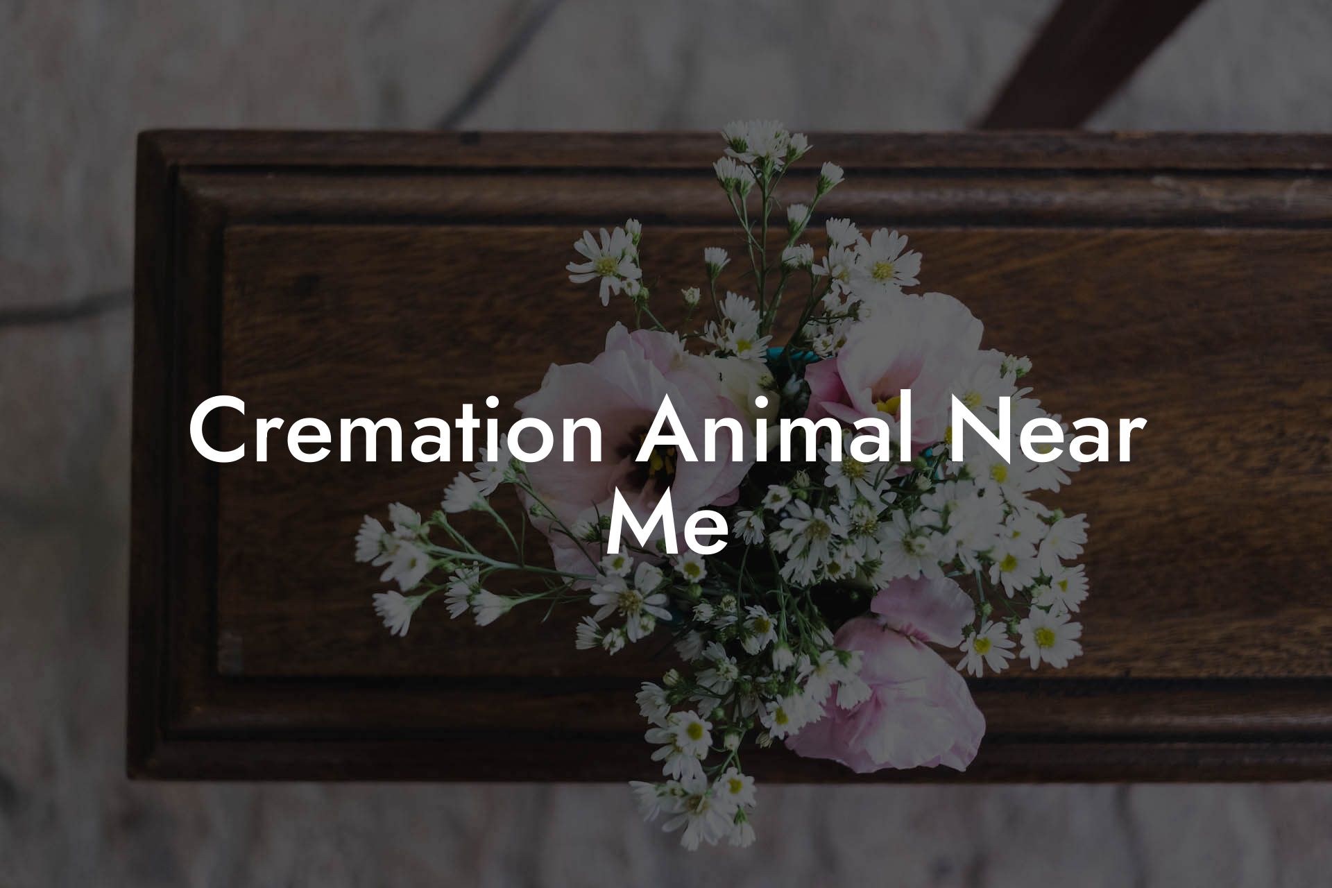 Cremation Animal Near Me