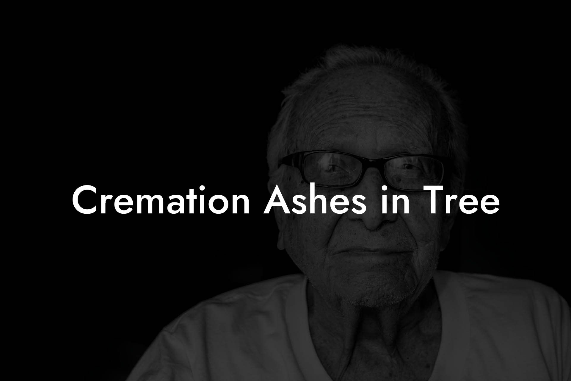 Cremation Ashes in Tree