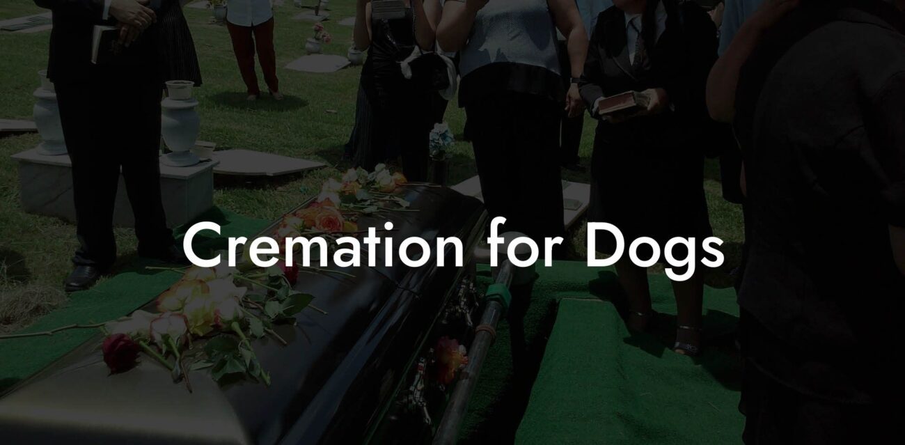 Cremation for Dogs