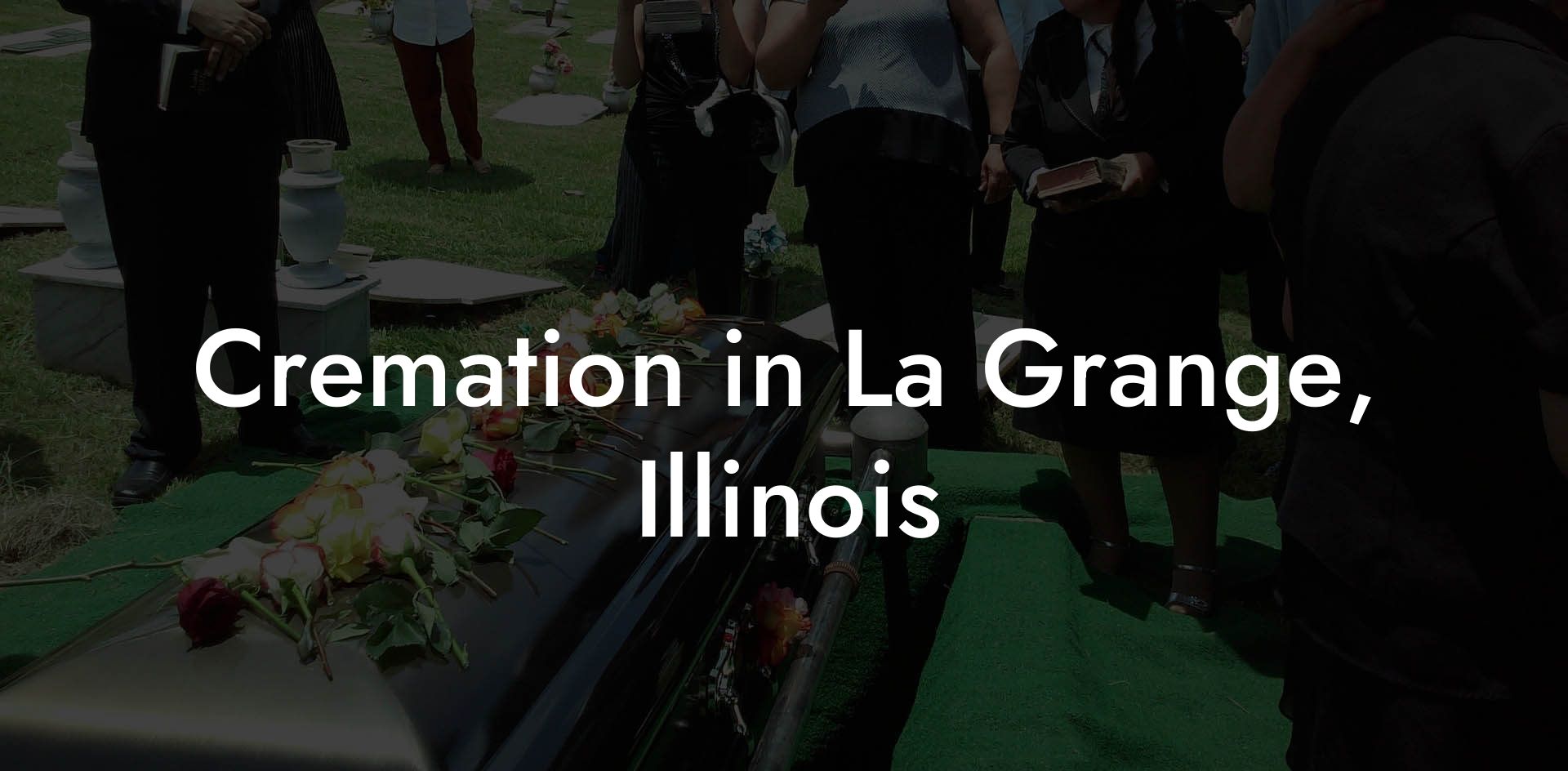 Cremation in La Grange, Illinois