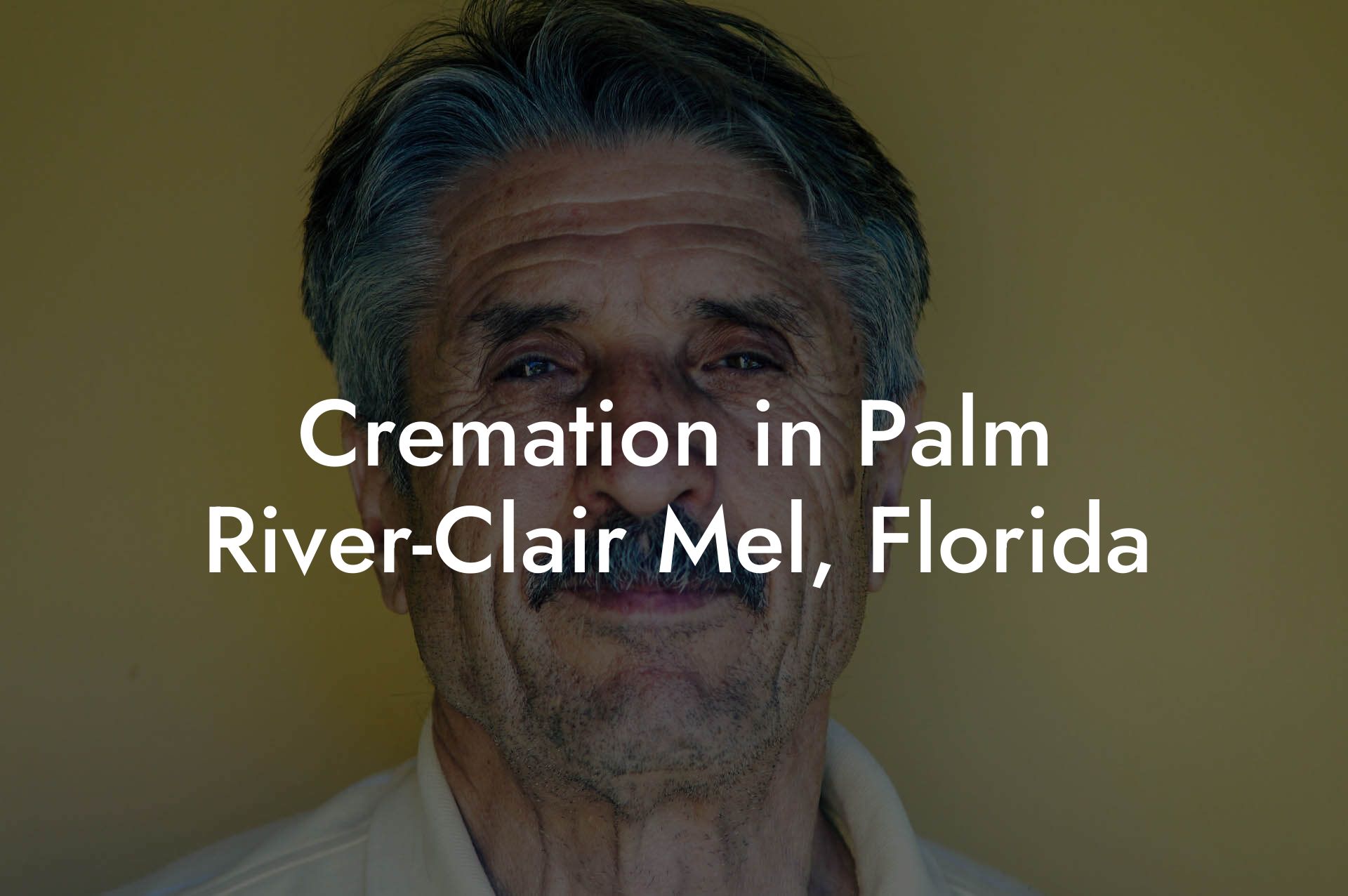 Cremation in Palm River-Clair Mel, Florida