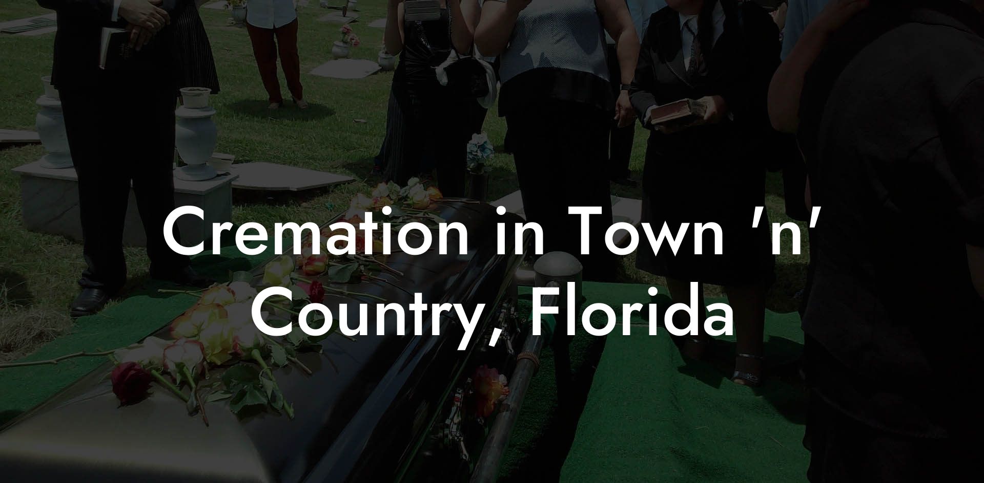 Cremation in Town 'n' Country, Florida