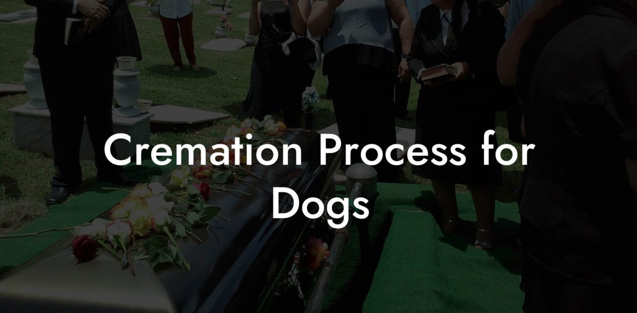 Cremation Process for Dogs