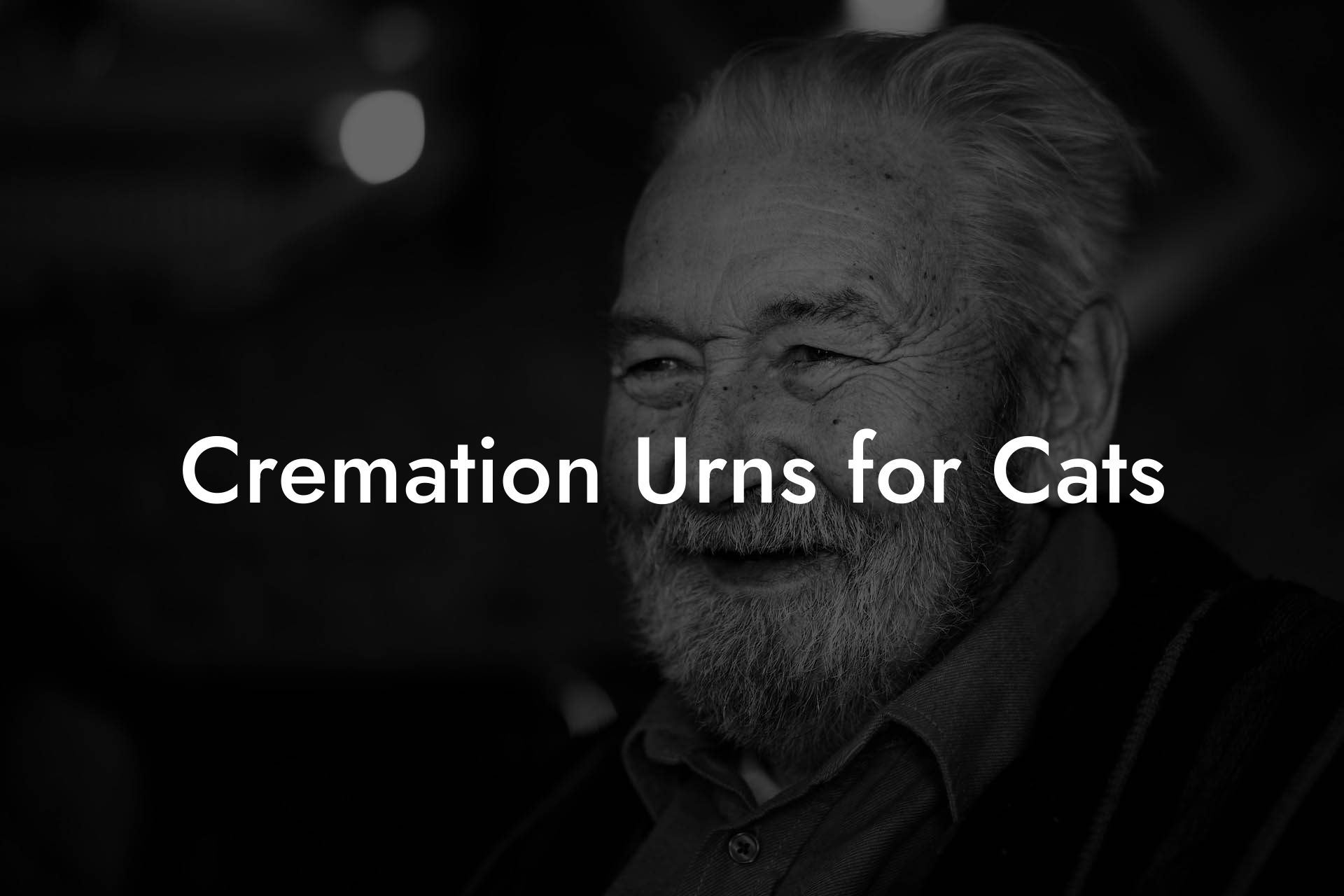 Cremation Urns for Cats