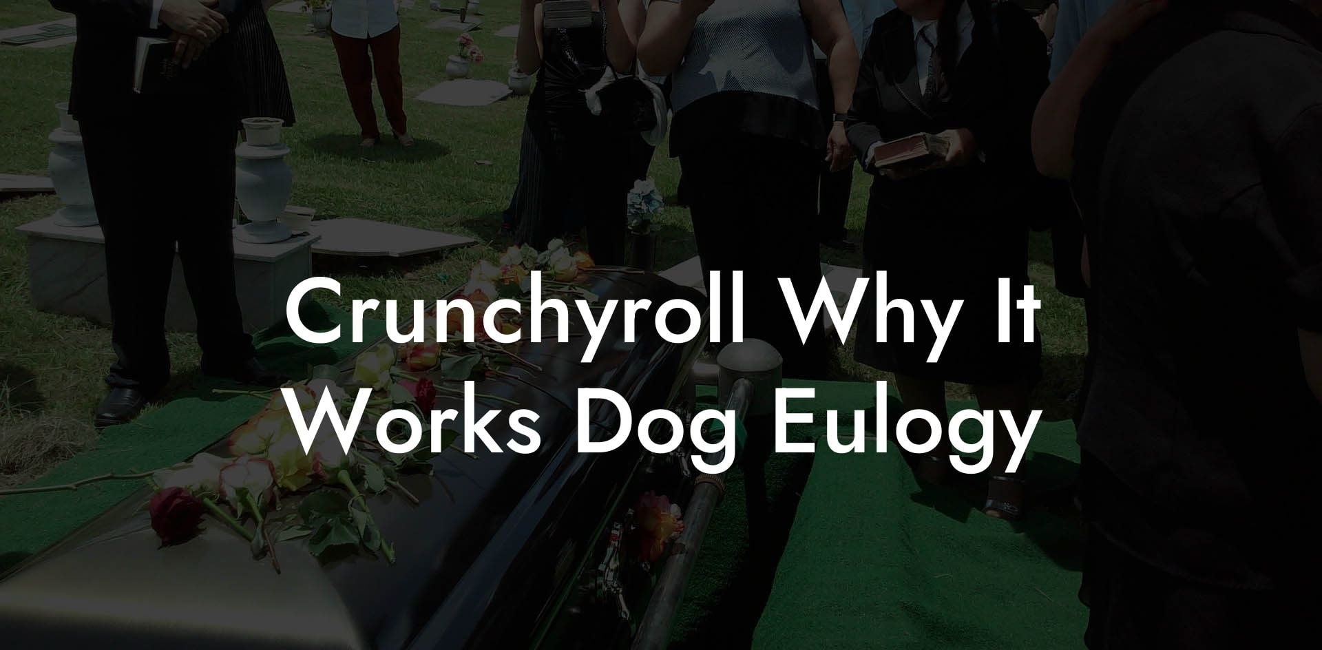 Crunchyroll Why It Works Dog Eulogy