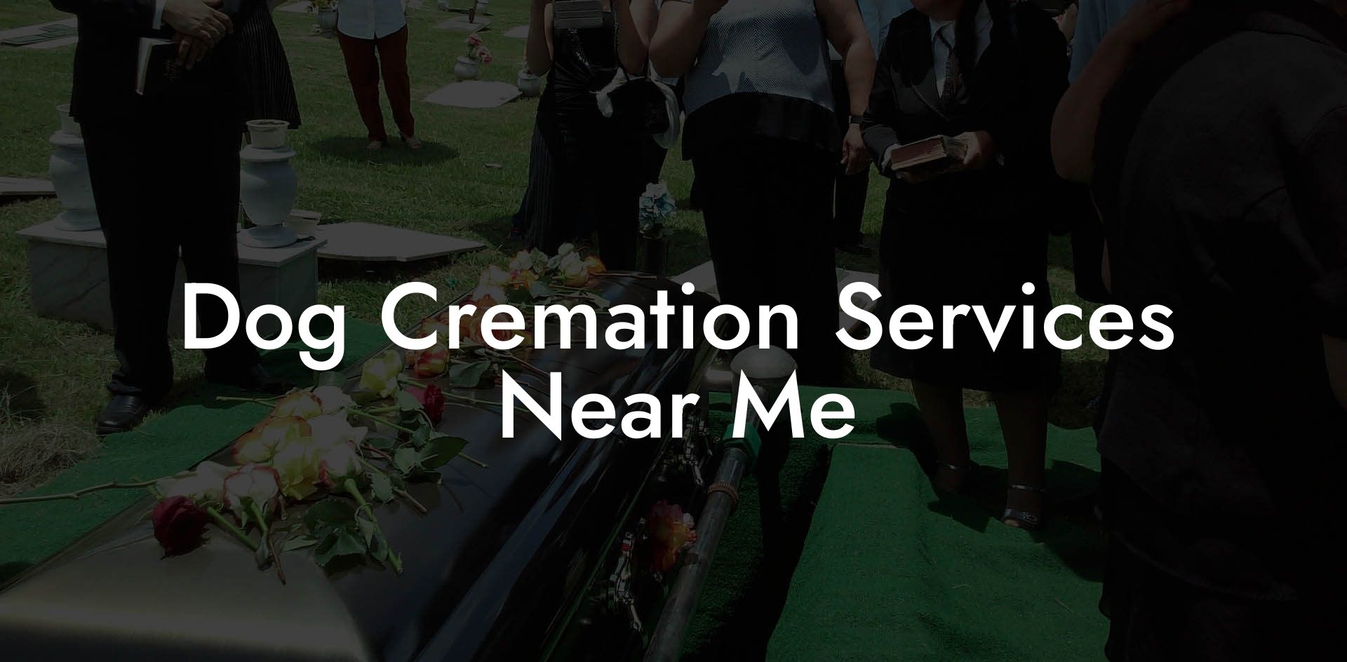 Dog Cremation Services Near Me