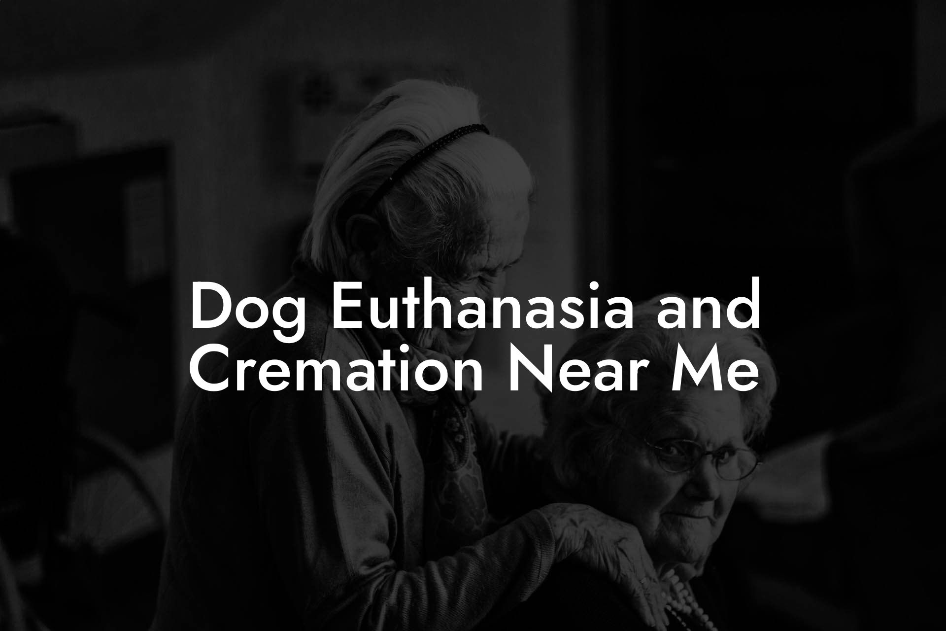 Dog Euthanasia and Cremation Near Me