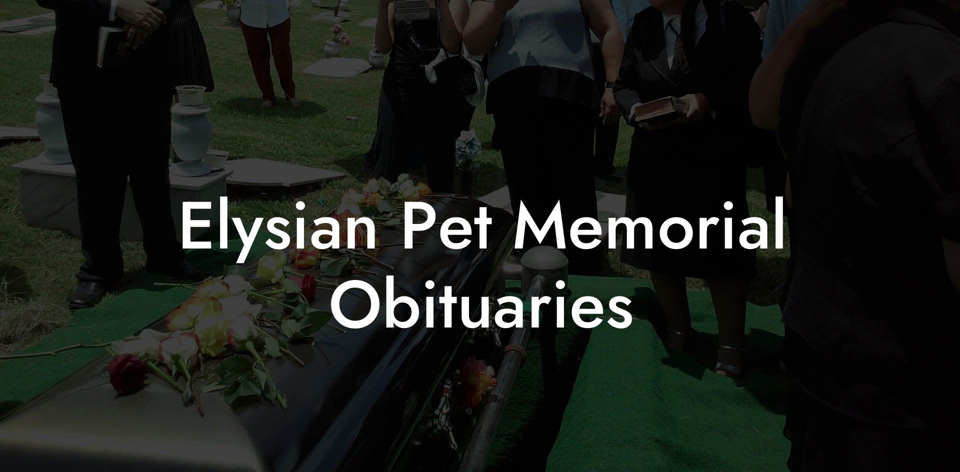 Elysian Pet Memorial Obituaries