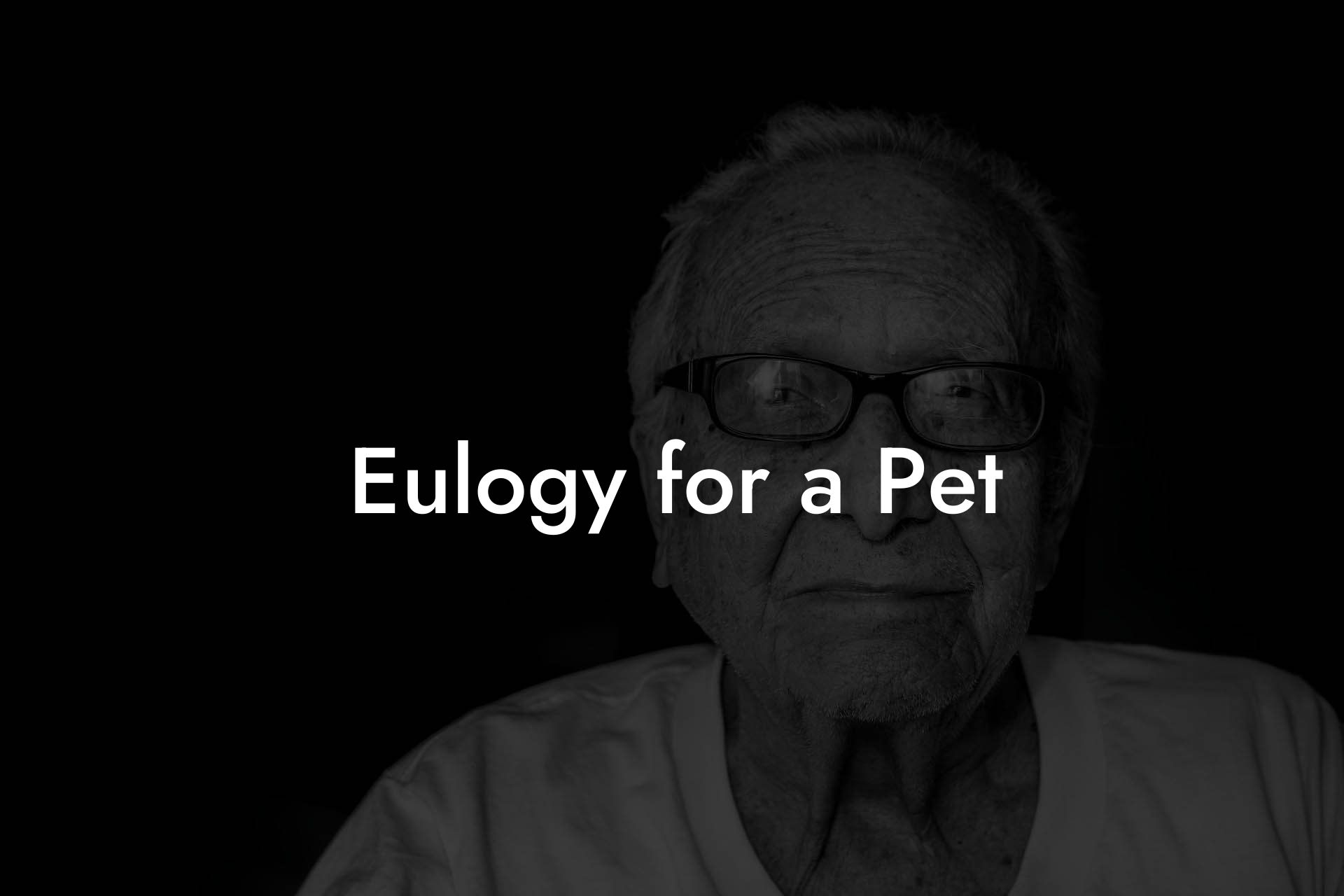 Eulogy for a Pet