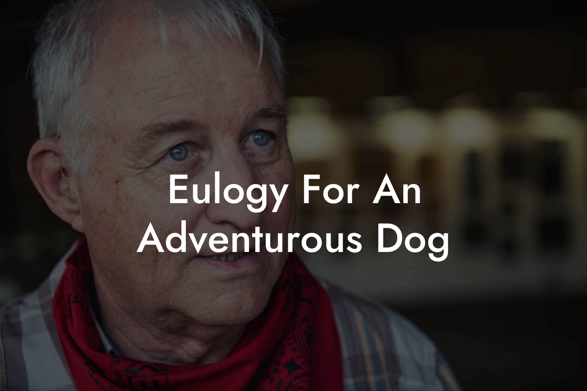 Eulogy For An Adventurous Dog