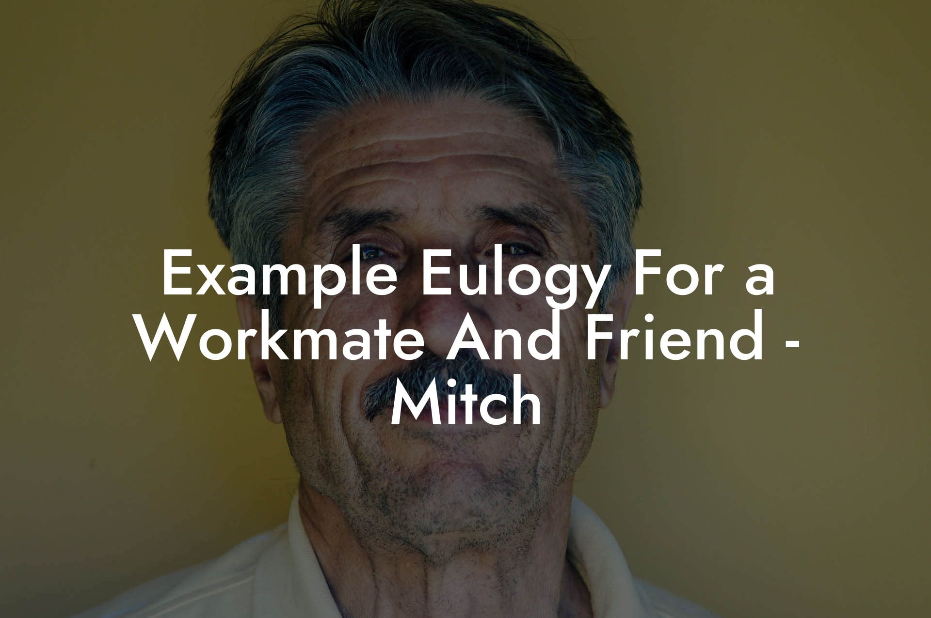 Example Eulogy For a Workmate And Friend - Mitch