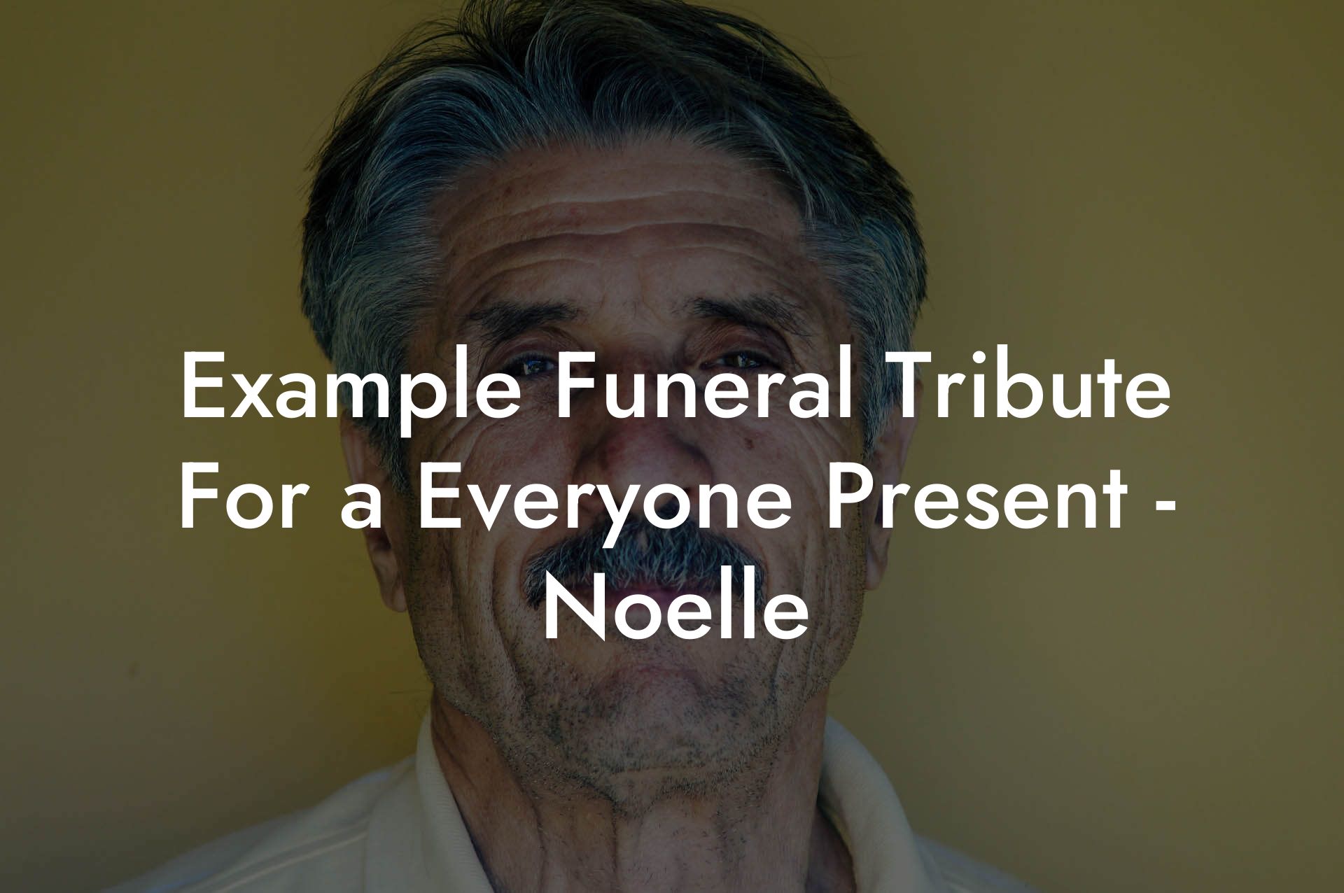 Example Funeral Tribute For a Everyone Present - Noelle
