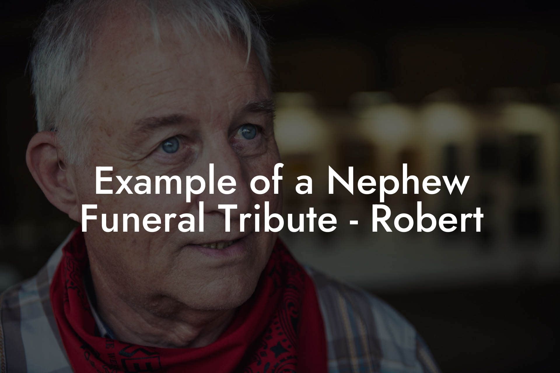 Example of a Nephew  Funeral Tribute   Robert