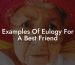 Examples Of Eulogy For A Best Friend