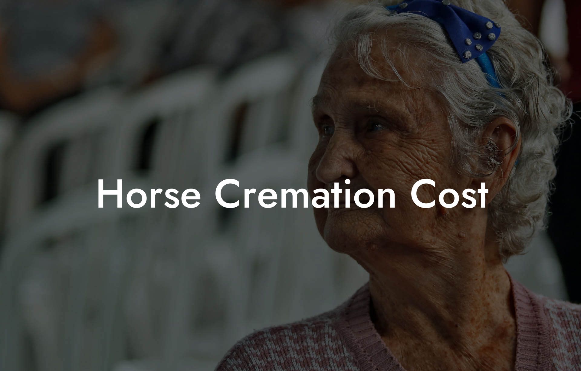 Horse Cremation Cost