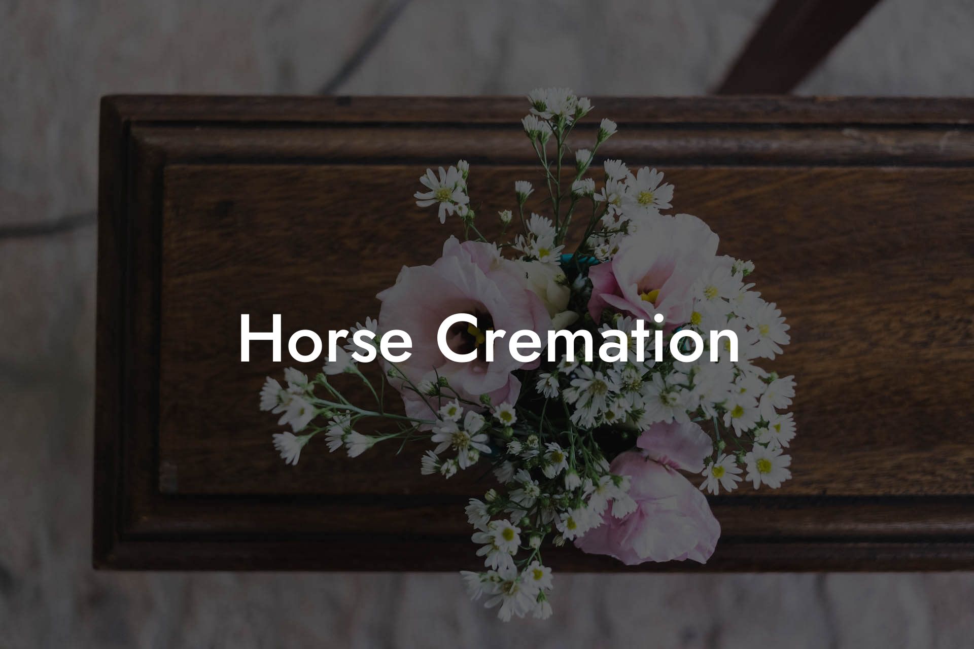 Horse Cremation