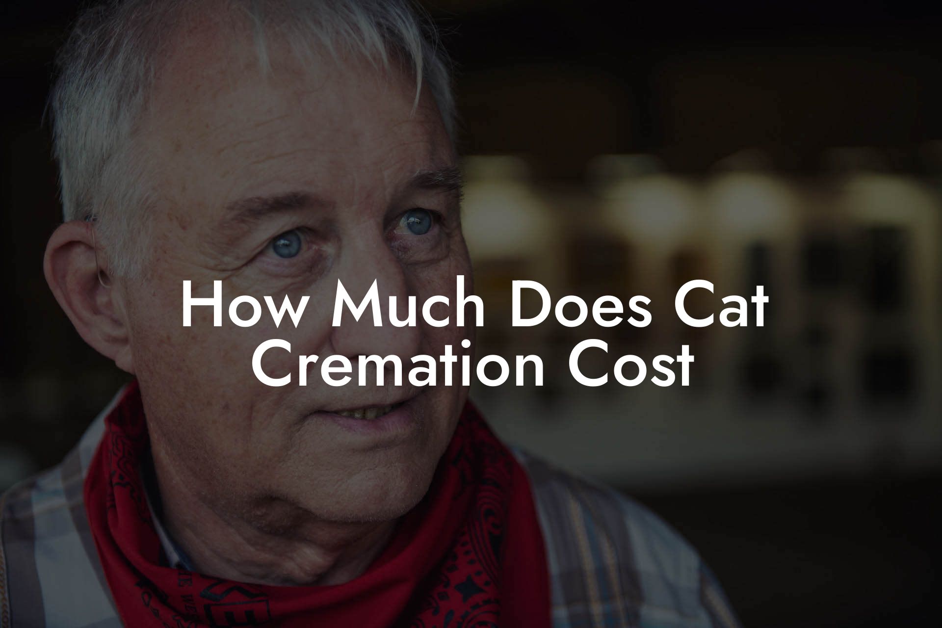 How Much Does Cat Cremation Cost