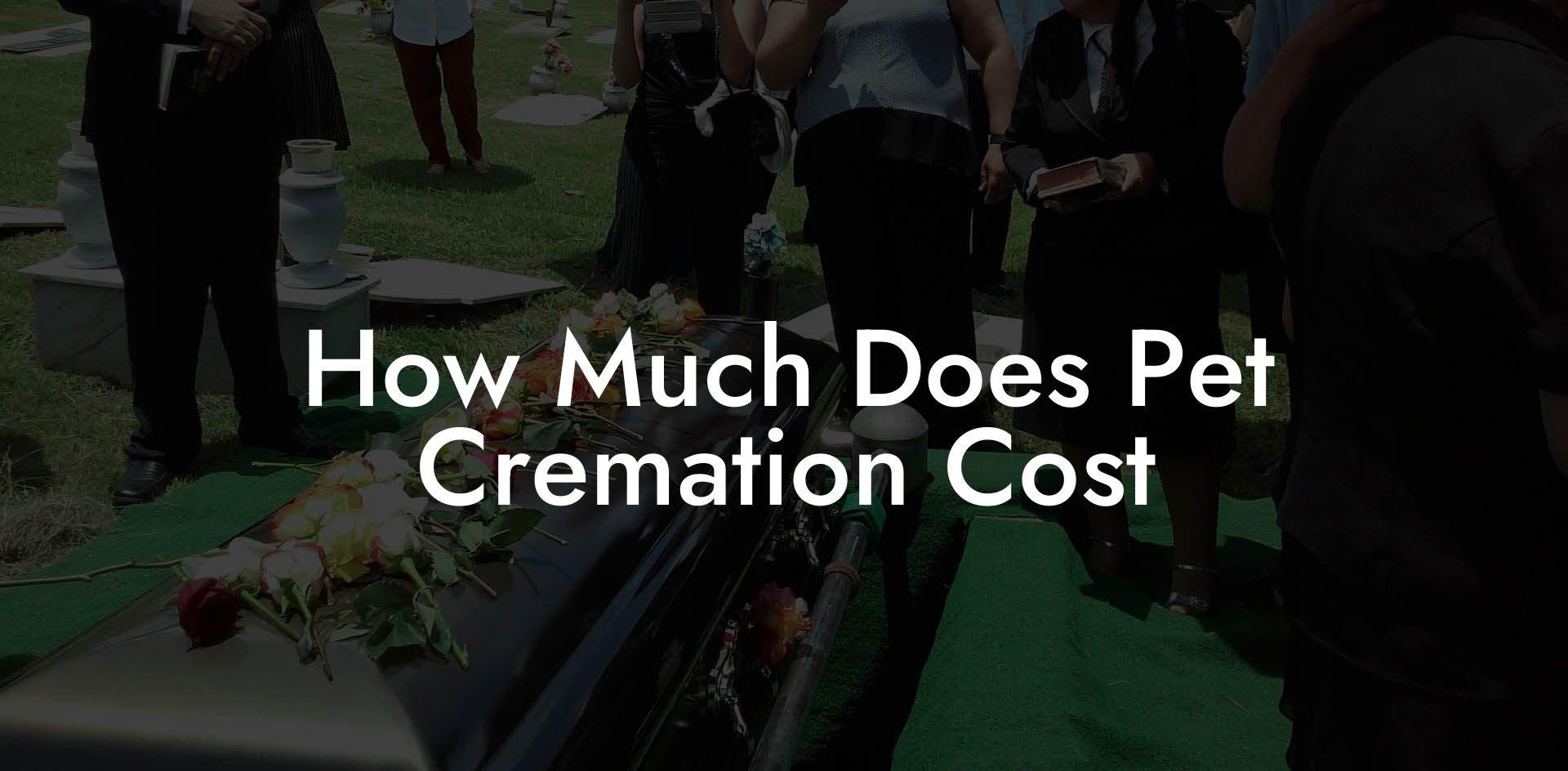 How Much Does Pet Cremation Cost