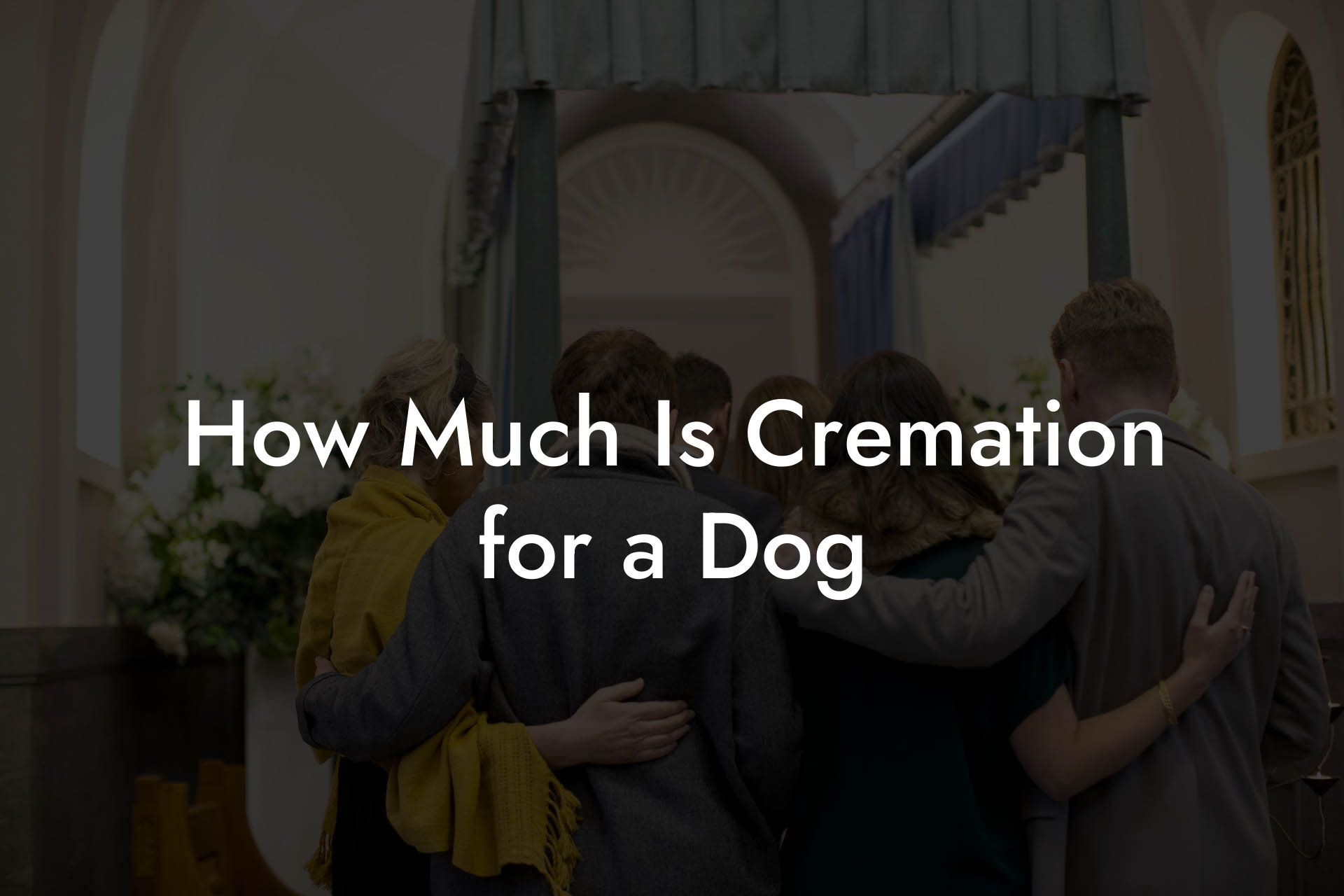 How Much Is Cremation for a Dog