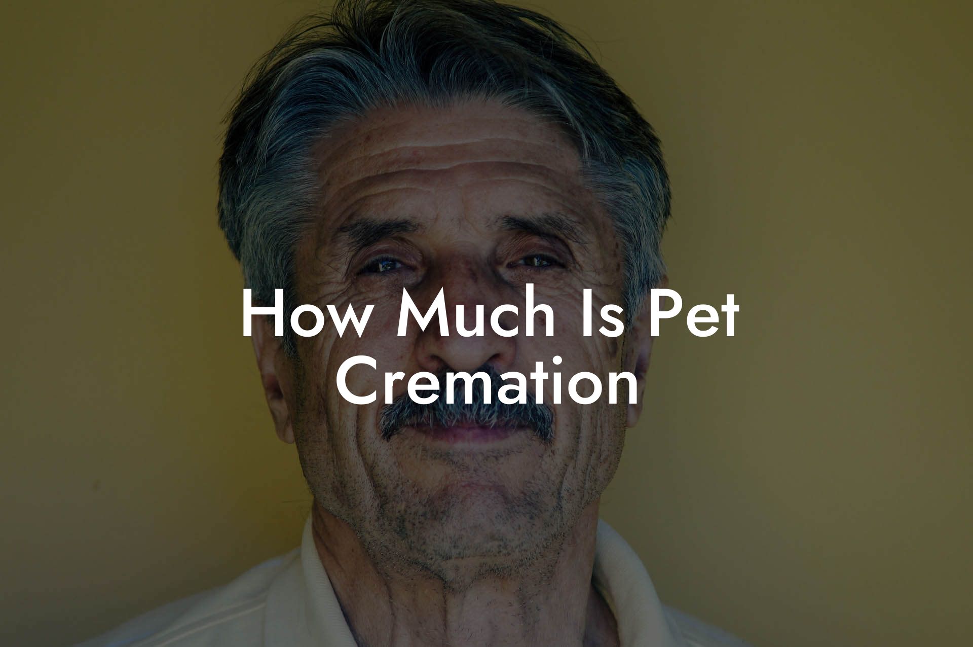 How Much Is Pet Cremation
