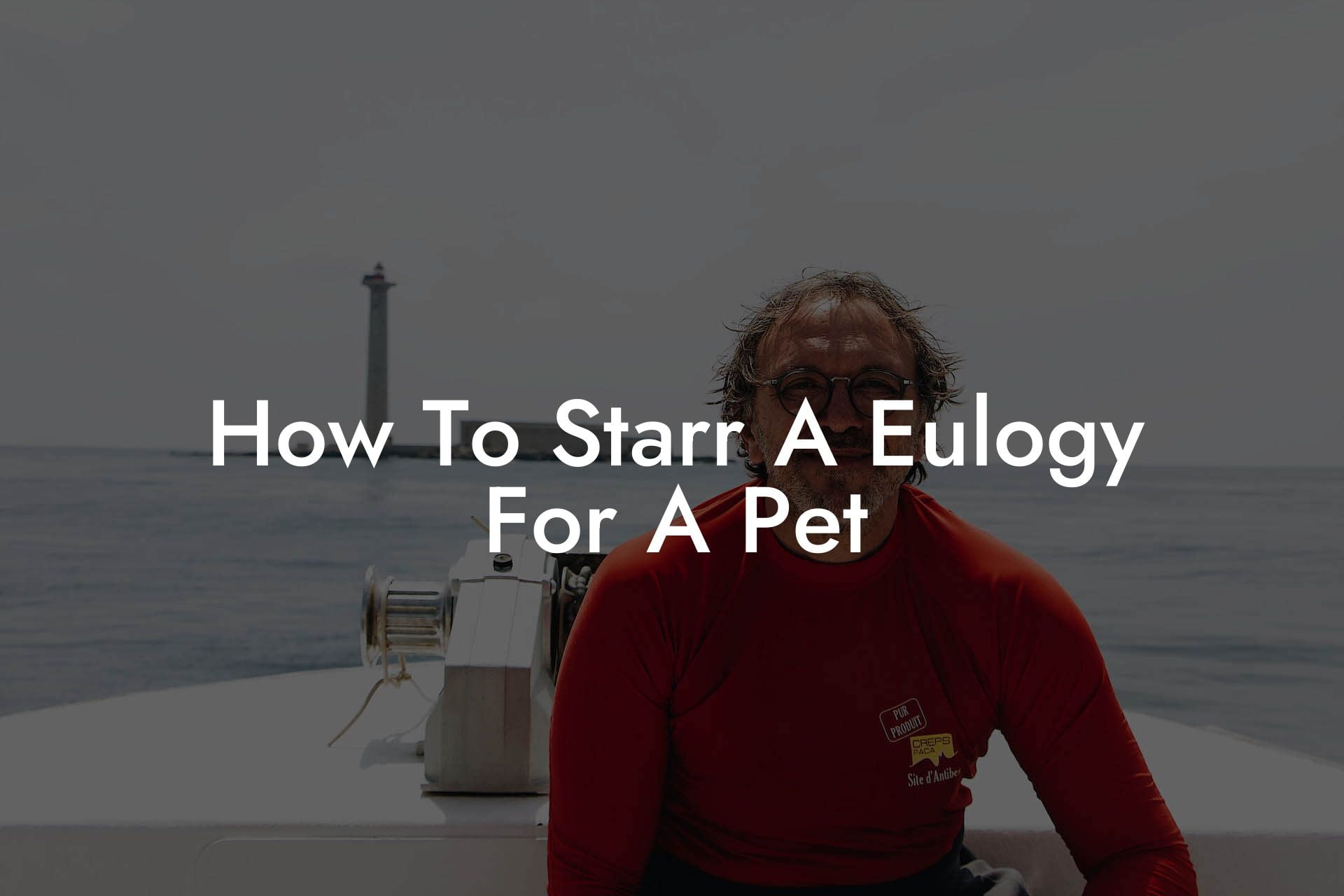 How To Starr A Eulogy For A Pet