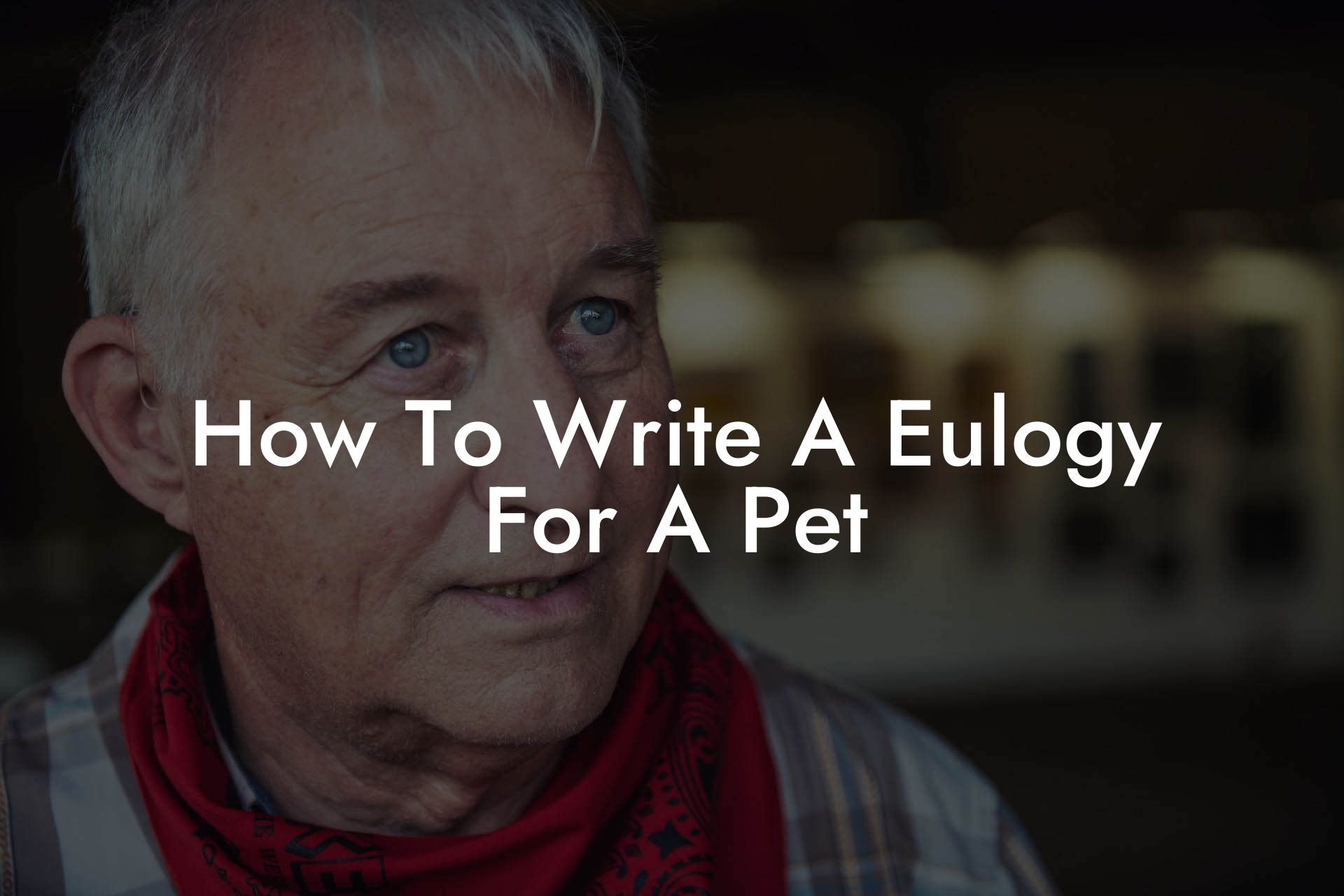 How To Write A Eulogy For A Pet