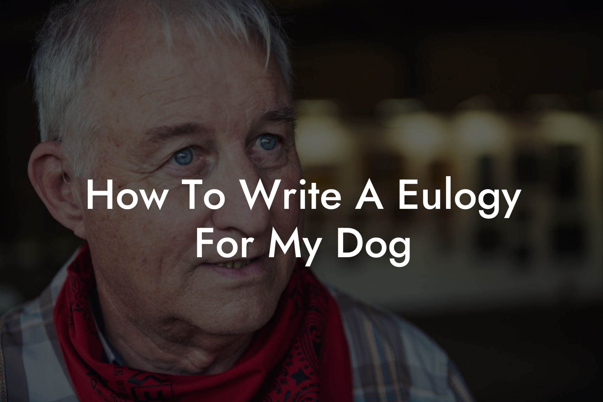 How To Write A Eulogy For My Dog