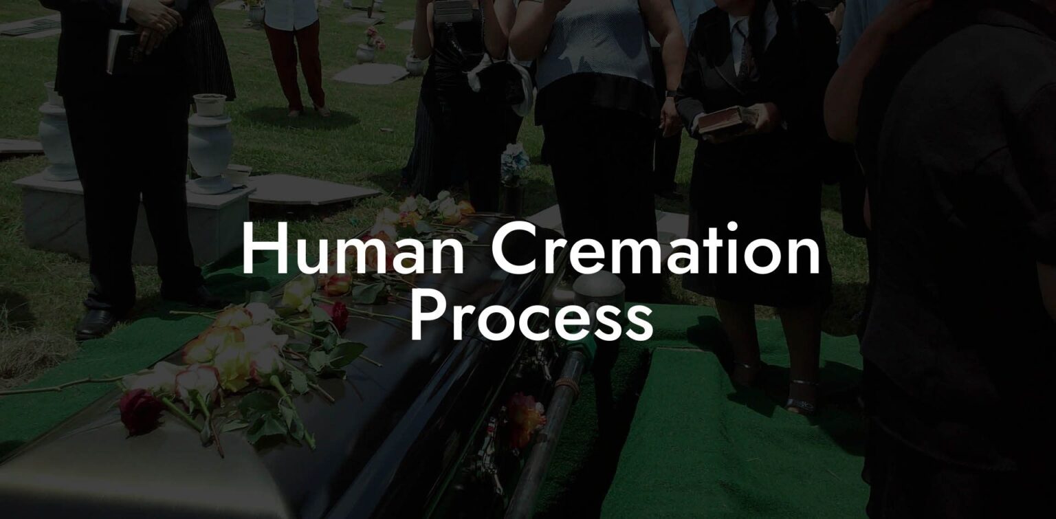 Human Cremation Process - Eulogy Assistant