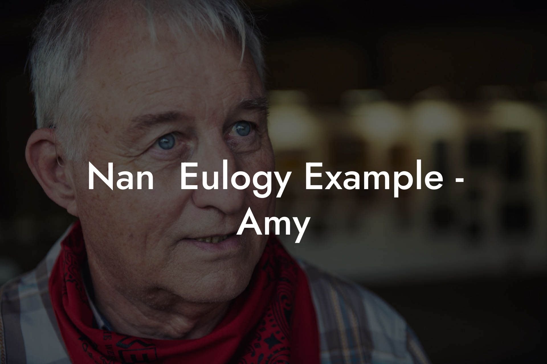 Nan  Eulogy Example - Amy