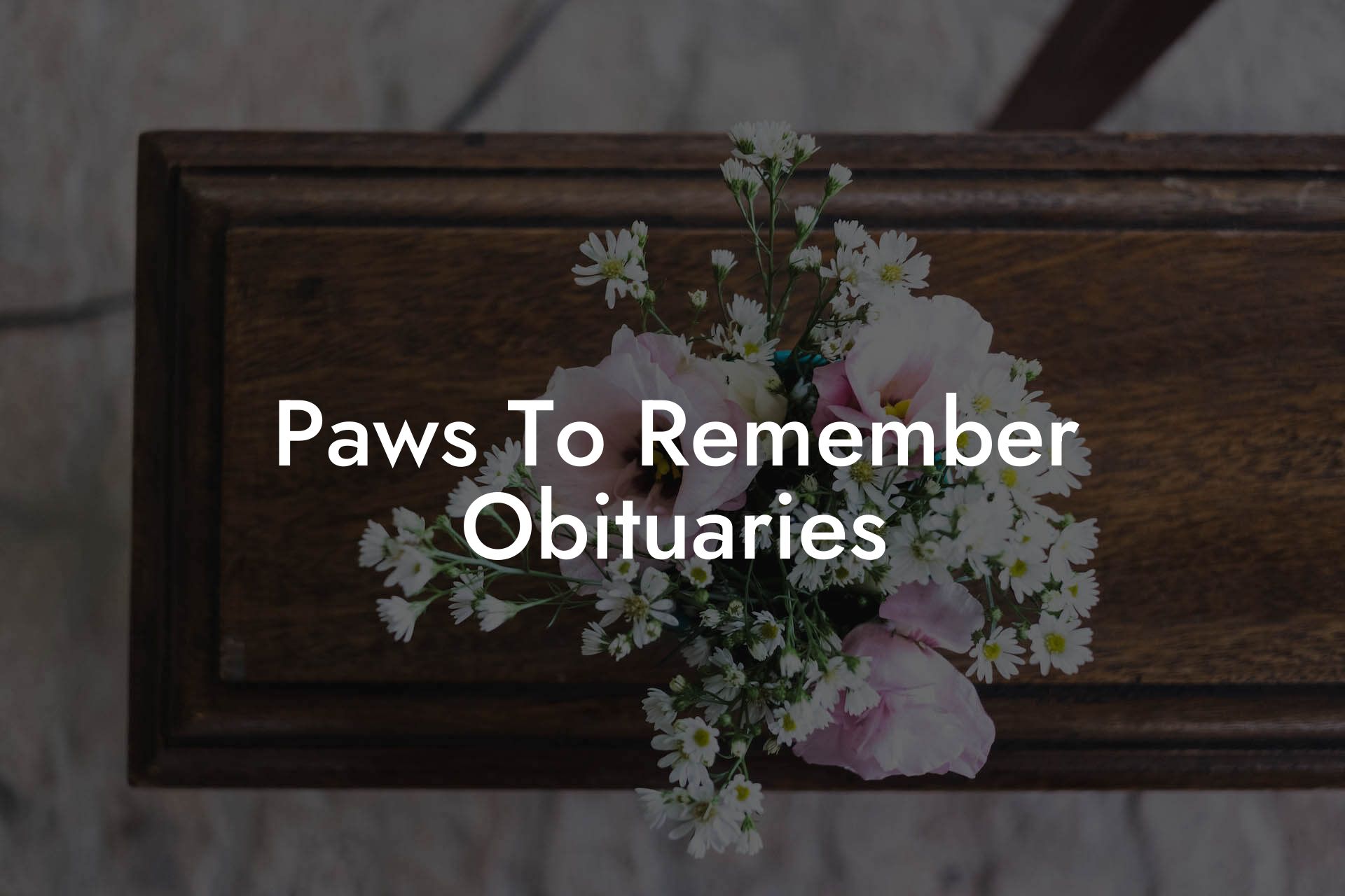 Paws To Remember Obituaries