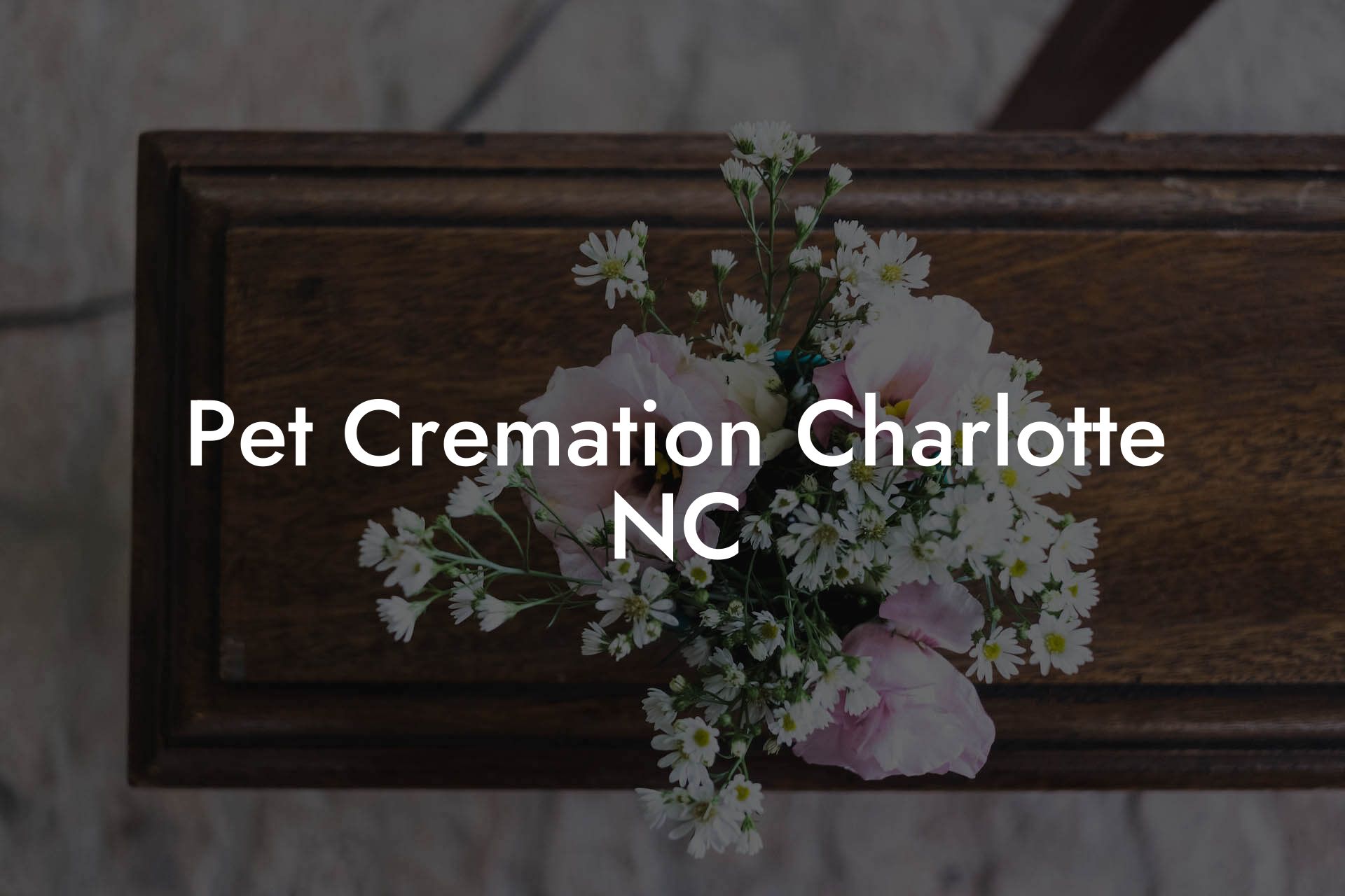 Pet Cremation Charlotte NC