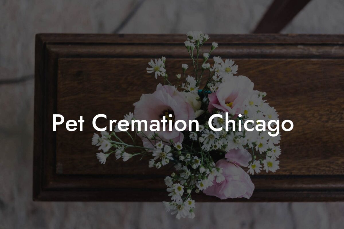 Pet Cremation Chicago