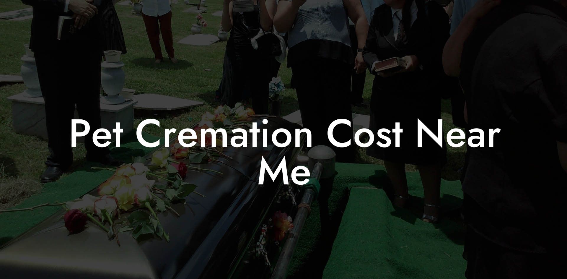 Pet Cremation Cost Near Me