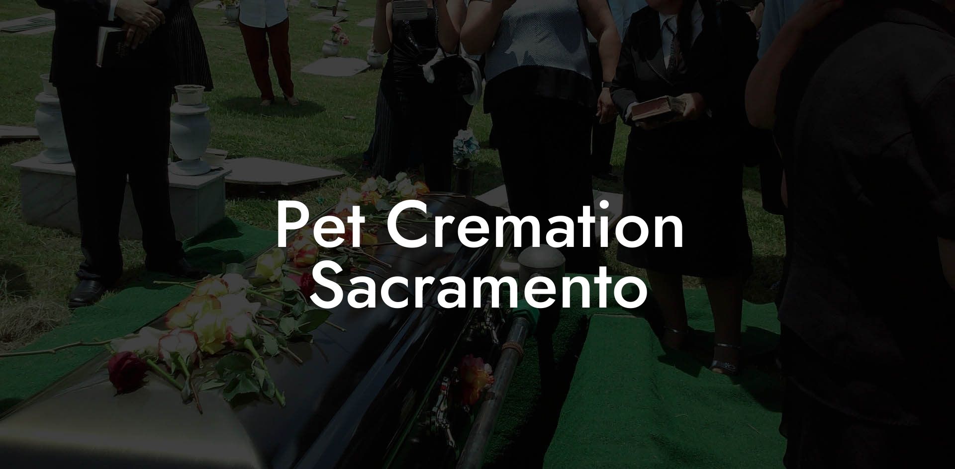 Pet Cremation Sacramento