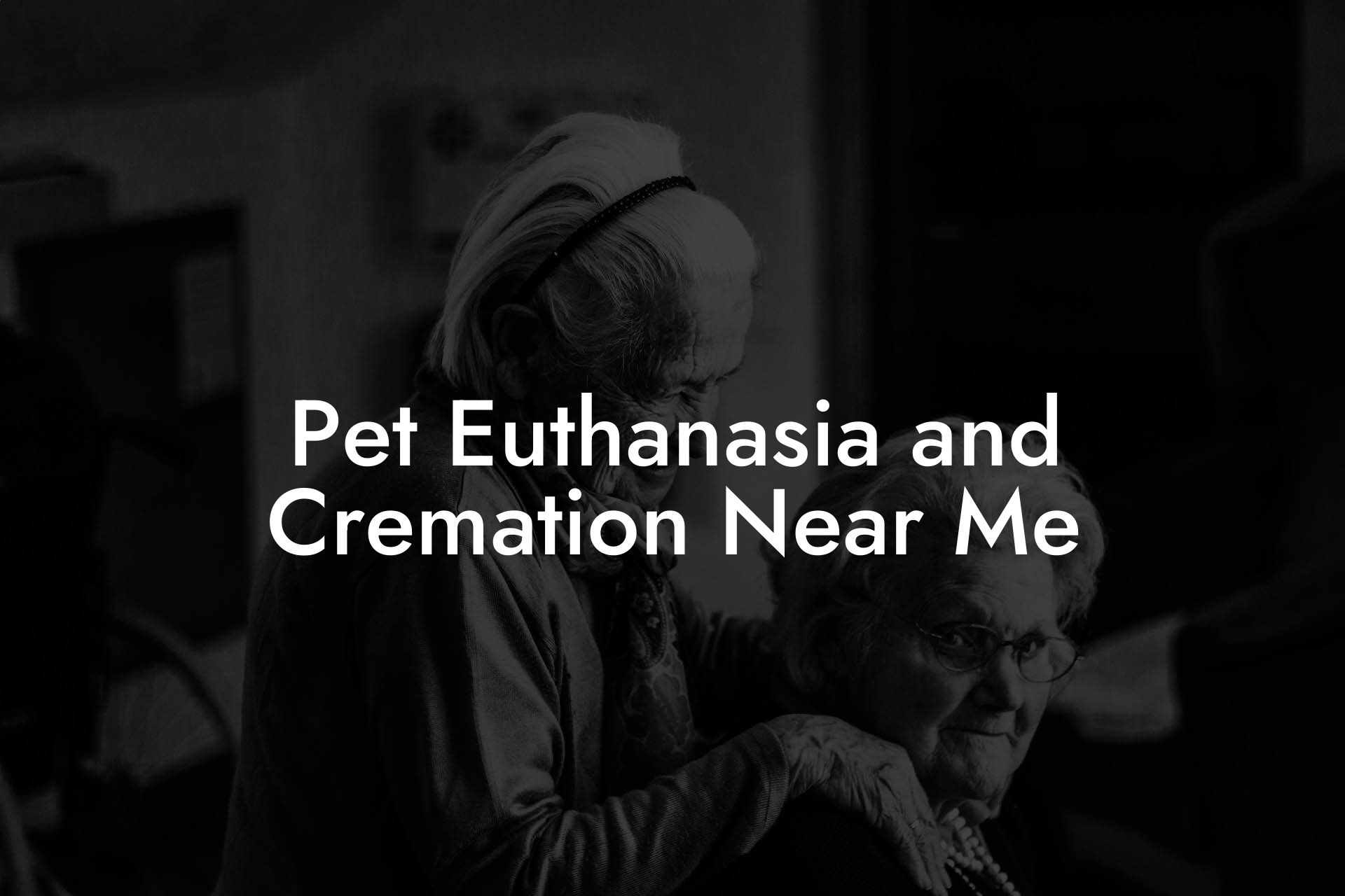 Pet Euthanasia and Cremation Near Me