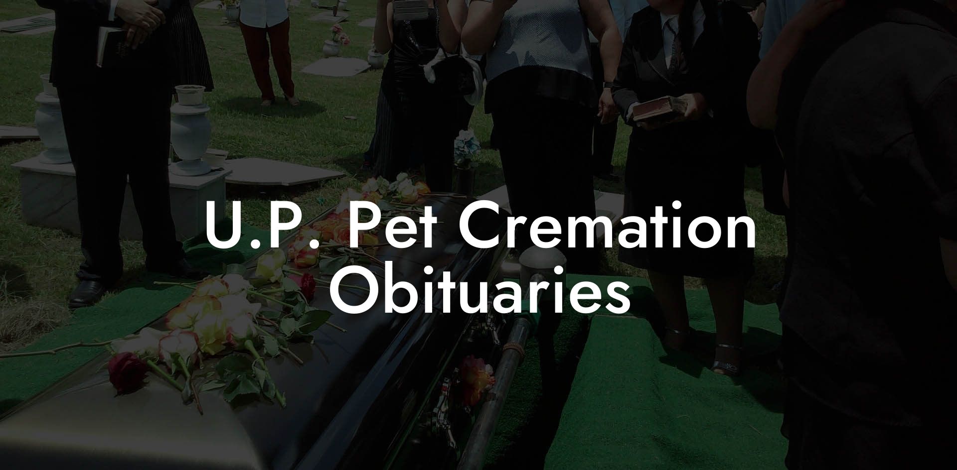 U.P. Pet Cremation Obituaries
