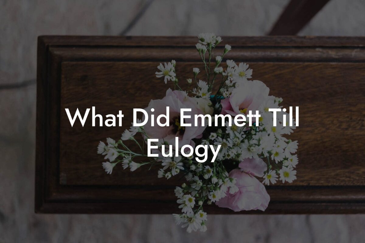 What Did Emmett Till Eulogy