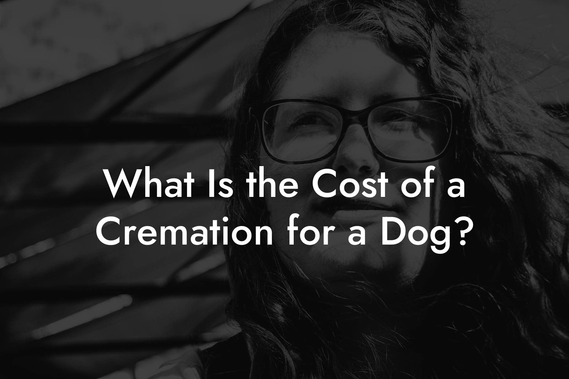 What Is the Cost of a Cremation for a Dog