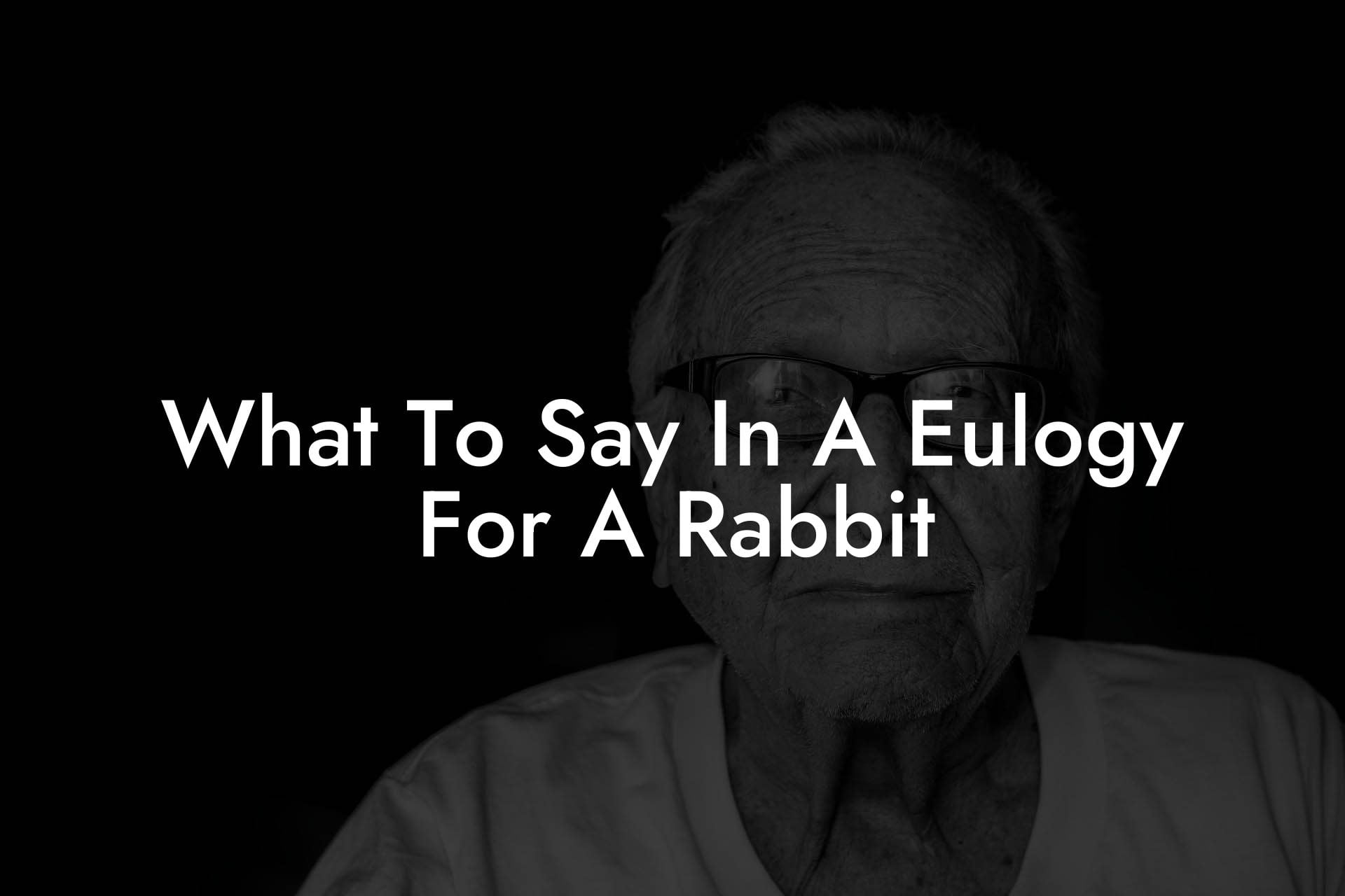 What To Say In A Eulogy For A Rabbit