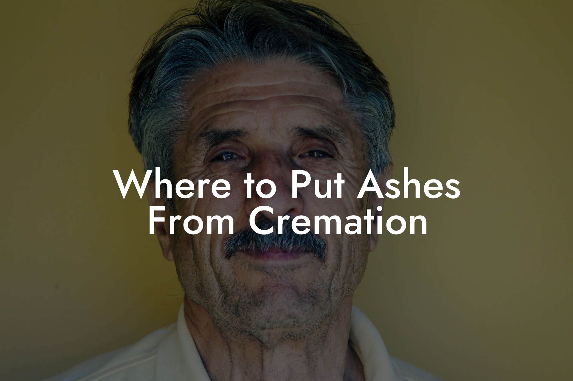 Where to Put Ashes From Cremation